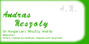 andras meszoly business card